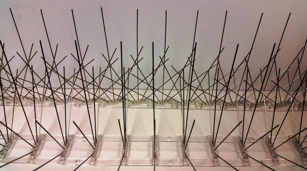 Heavy-Duty Adjustable Bird Spikes 100 ft T861013
