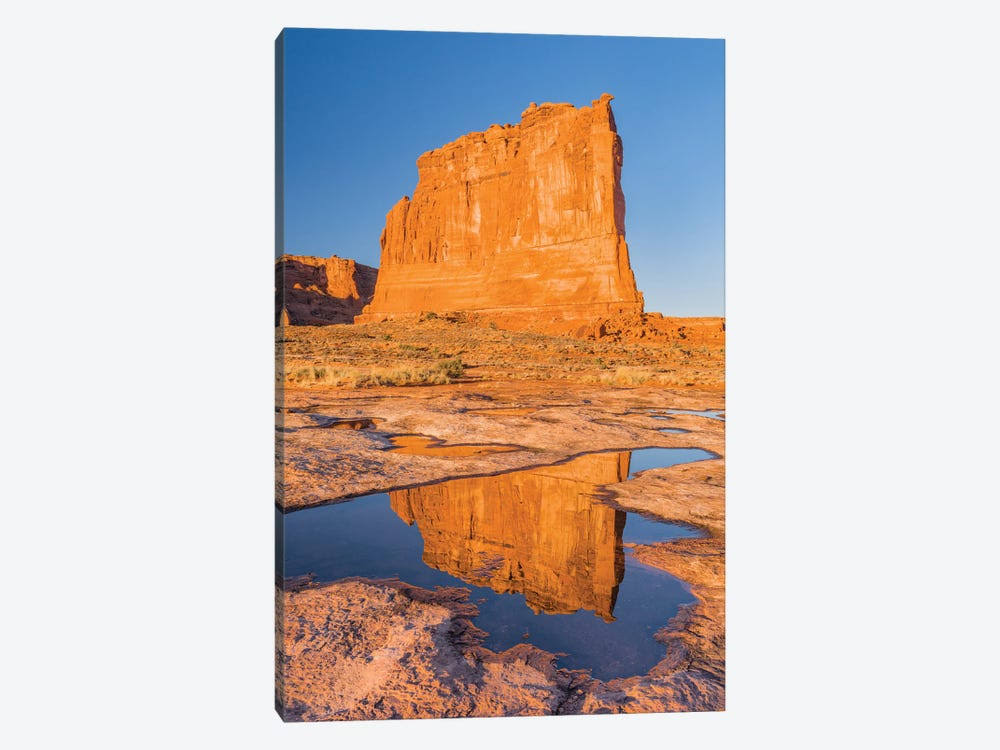 The Organ Reflected in Pool, Arches National Park, Utah Print V7109