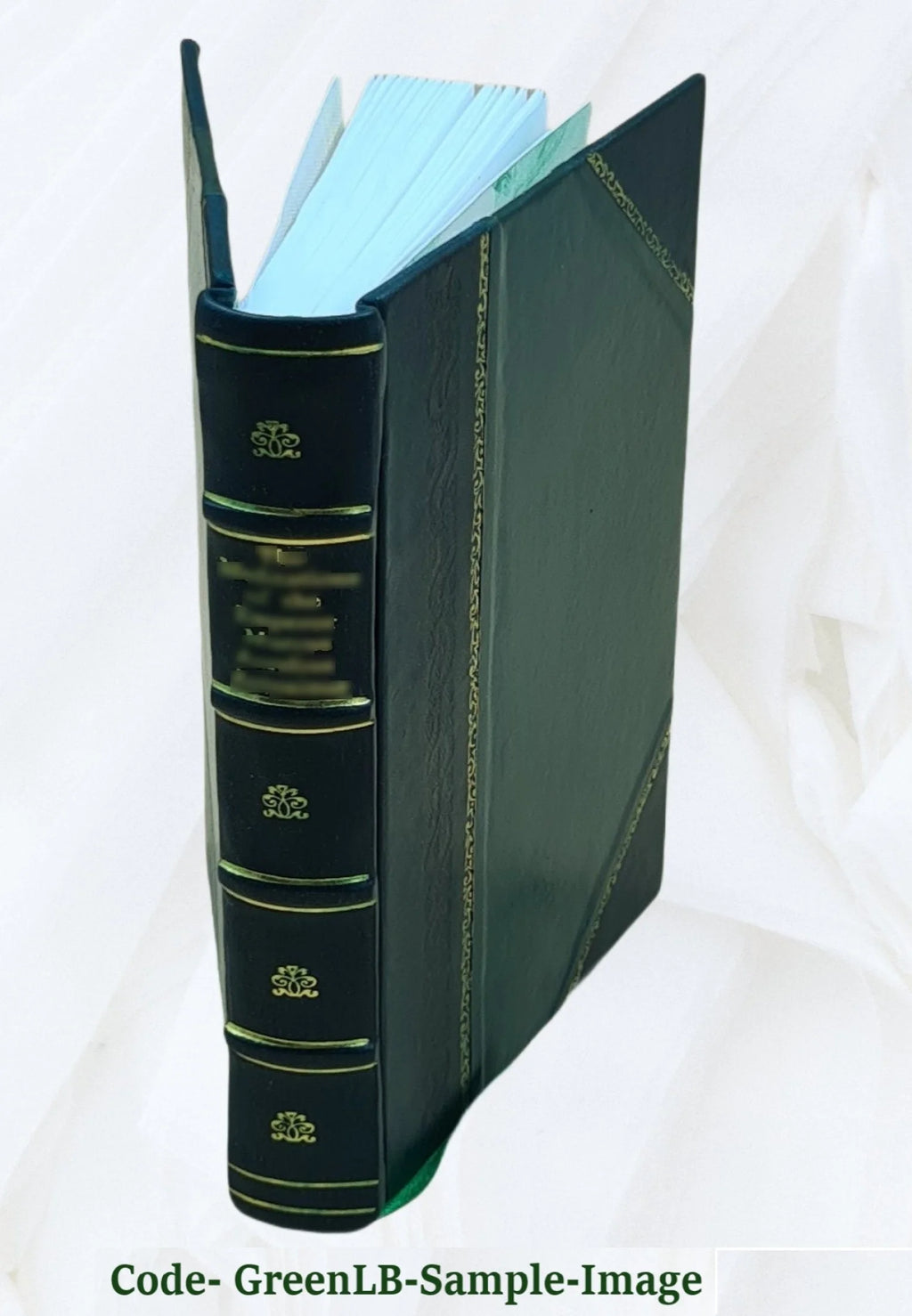 Leather Bound Book B39800