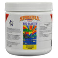 Bud Blaster 500 GM U49167