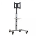 Flat Panel Mobile Cart P23281
