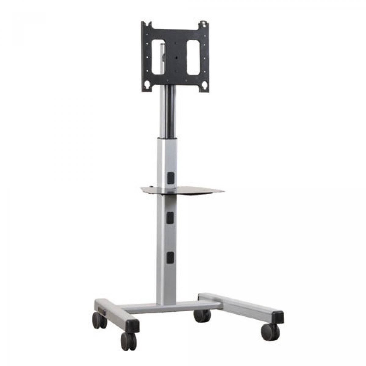 Flat Panel Mobile Cart P23281
