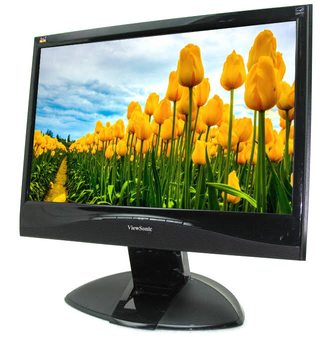 19 in LED Monitor F250111