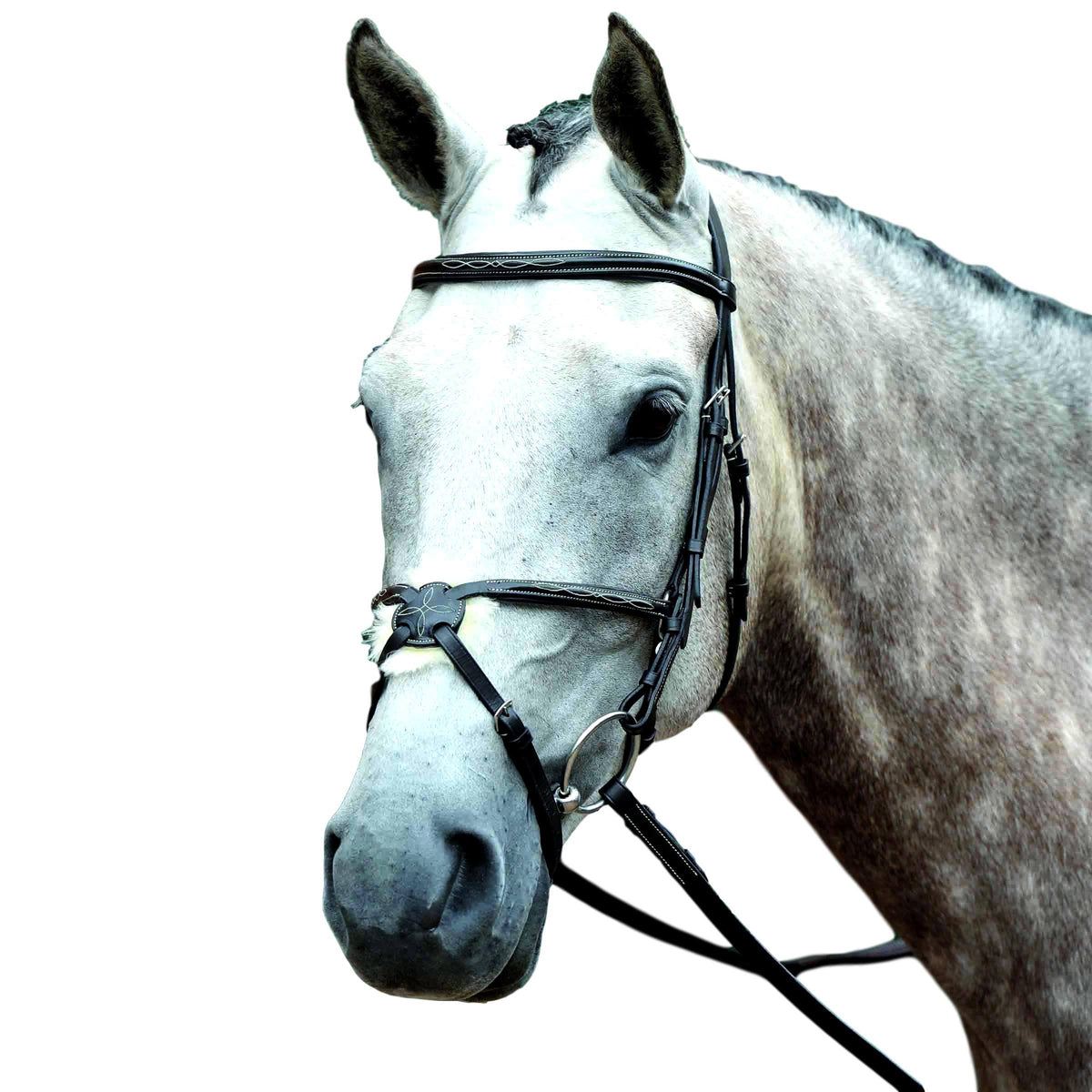 Padded Figure 8 Bridle - Pony / Brown D154635