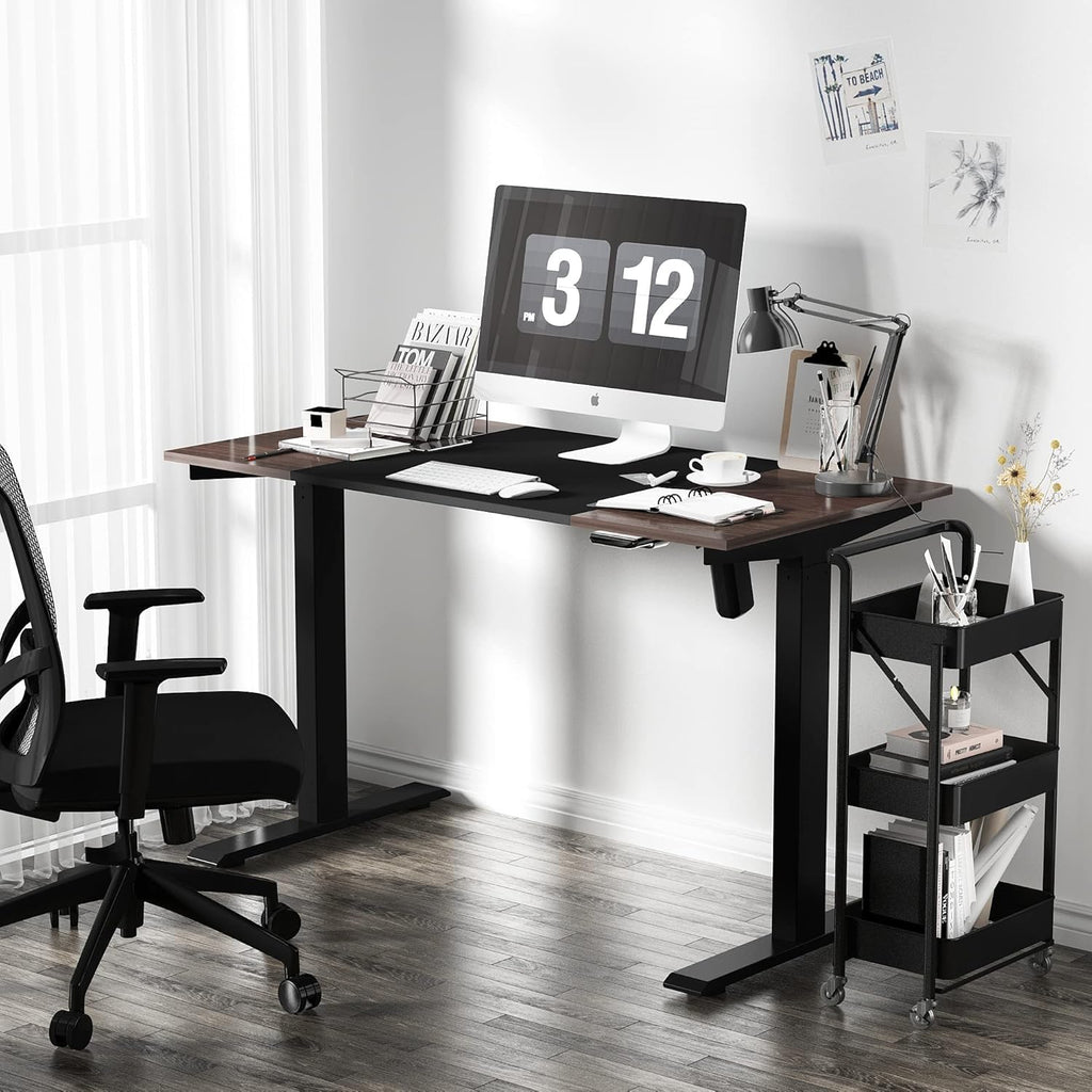 Electric Standing Desk with 48 x 30 Inches Adjustable Sit Stand Desk X4710