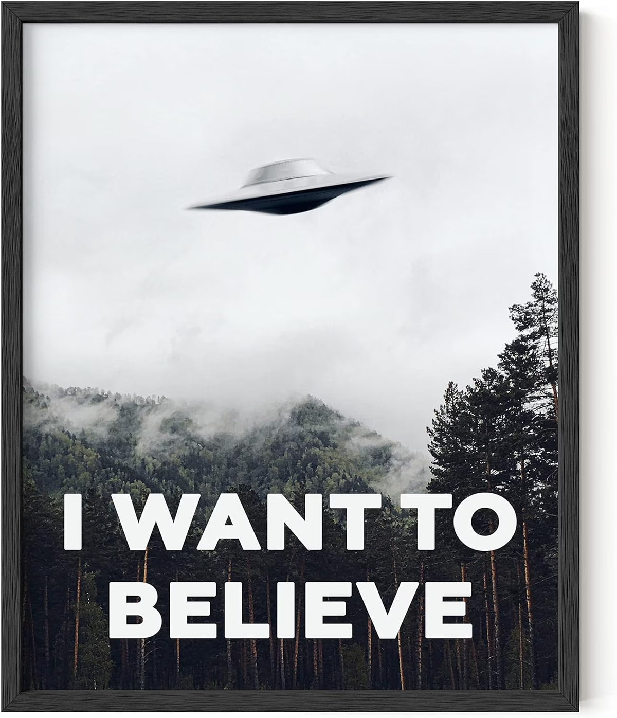 X Files UFO Poster Framed Black 16x20 T3732