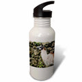 Sports Water Bottle T96953
