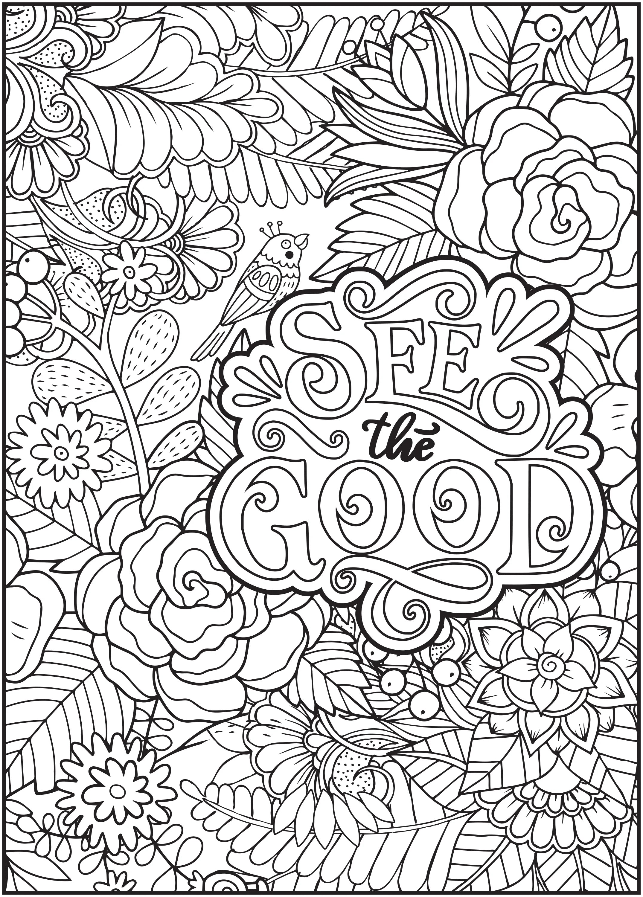 64 Pages Adult Coloring Book V354796