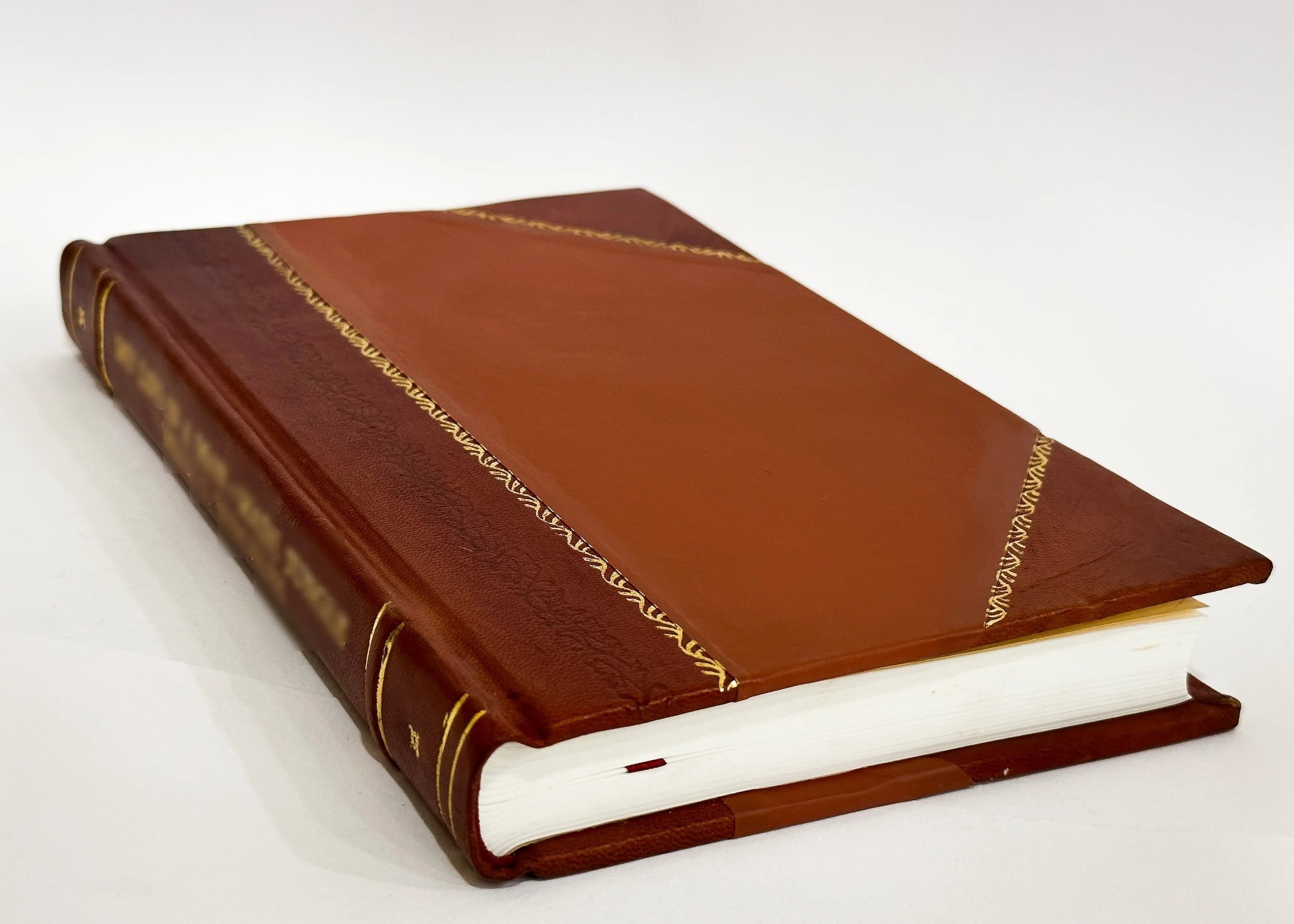 Leather Bound Book X367