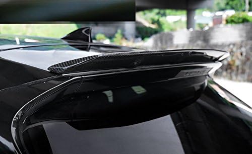 Carbon Fiber Rear Roof Spoiler J28340