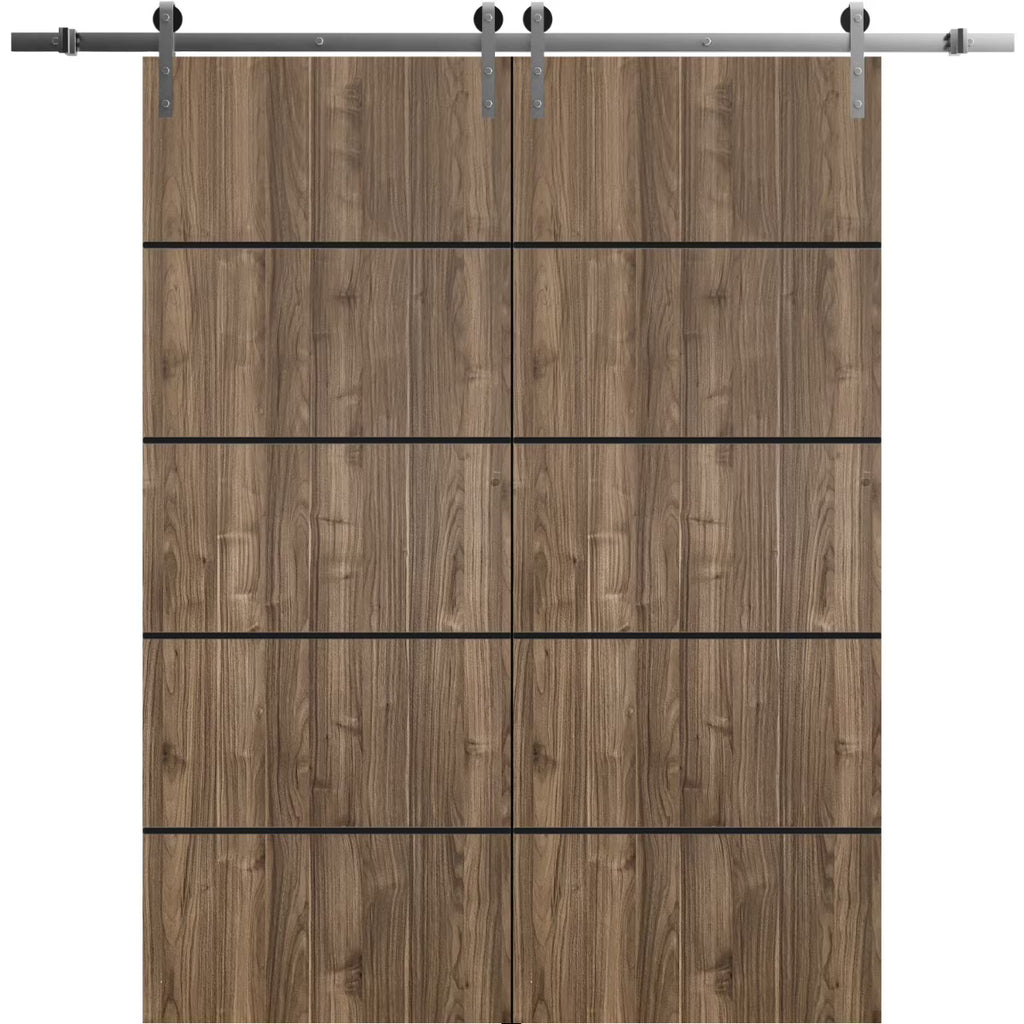 Double Barn Door 36 x 84 inches with Frosted Glass Stainless Steel Rail Hangers W39918