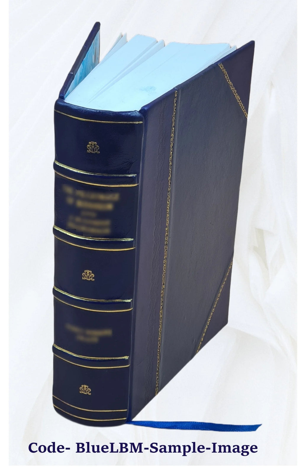 Leather Bound History of the United States C856