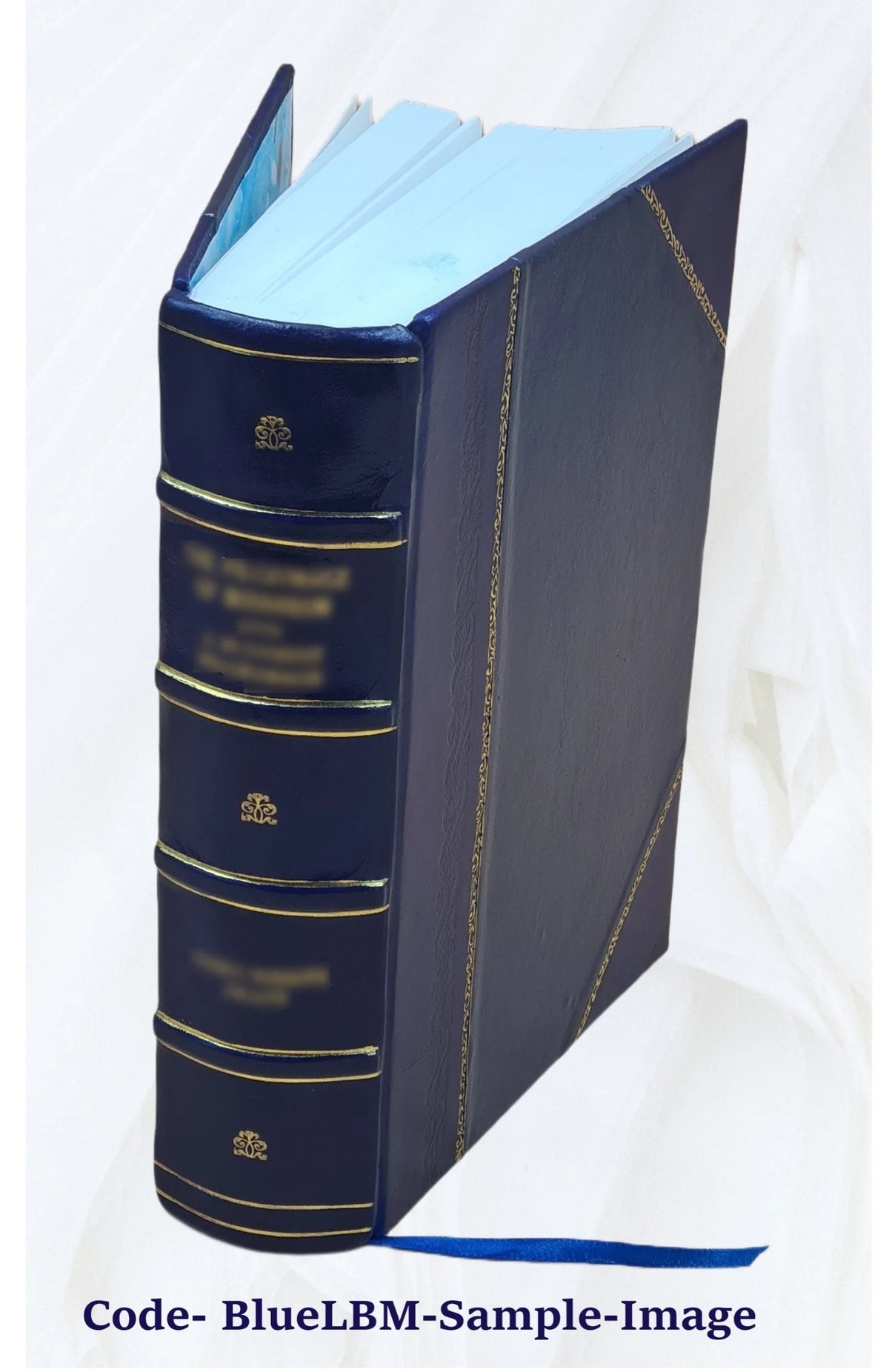 Leather Bound History of the United States C856