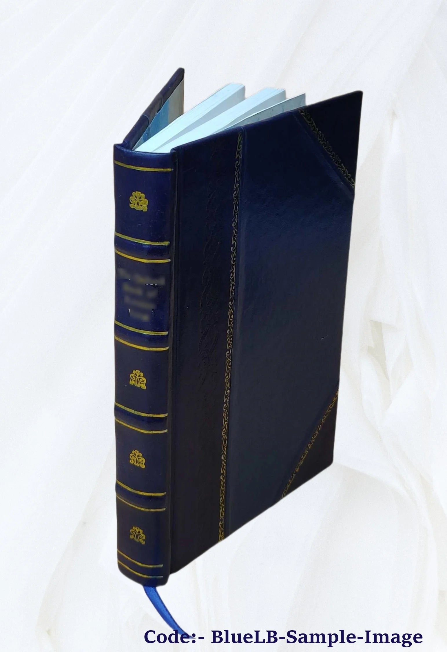 A voyage to the Pacific Ocean O98217