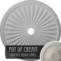 Hand-Painted Ceiling Medallion B713118