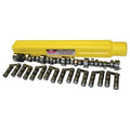 Hydraulic Roller Tappet Camshaft & Lifter Kit W60624