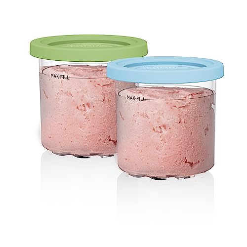 Silver Ice Cream Maker with 2 Pint Containers & Lids G397012