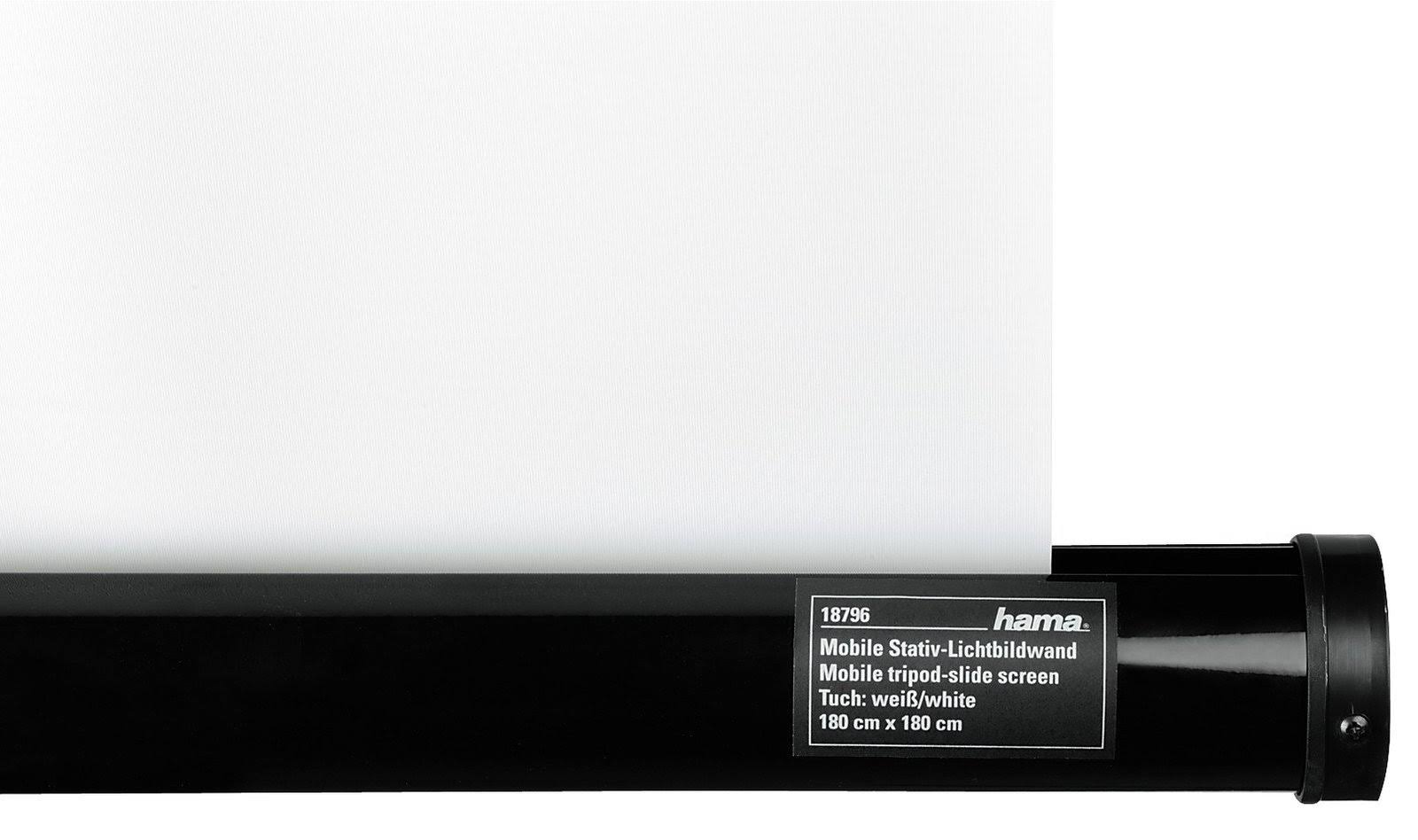 Projection Screen B272