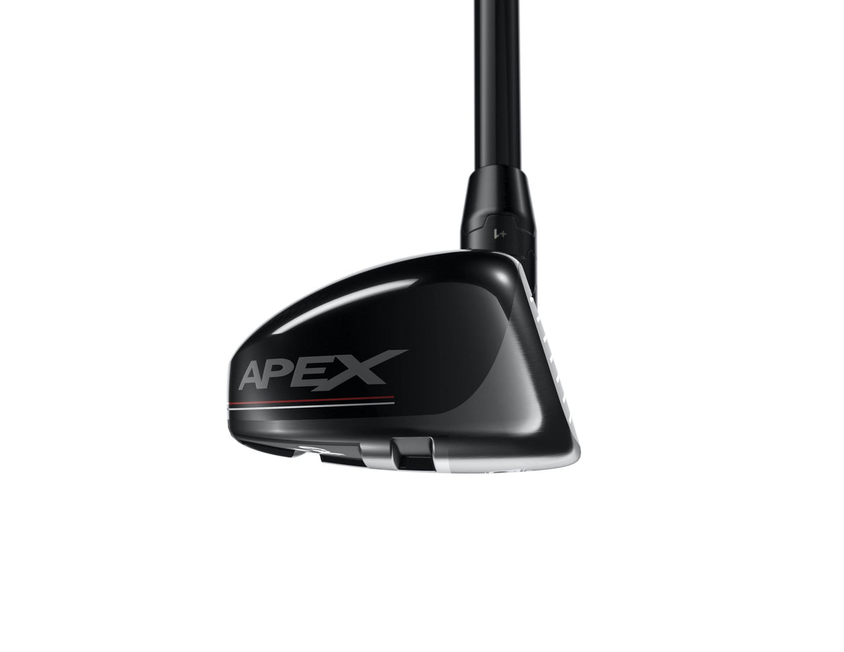 Apex 21 Hybrid D617702