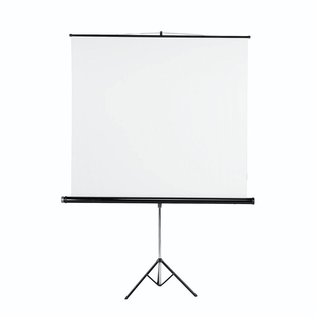 Projection Screen B272