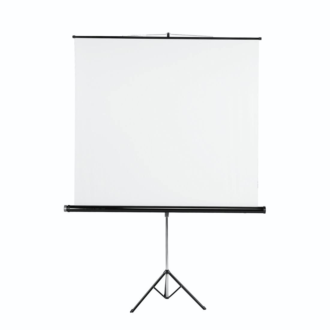 Projection Screen B272