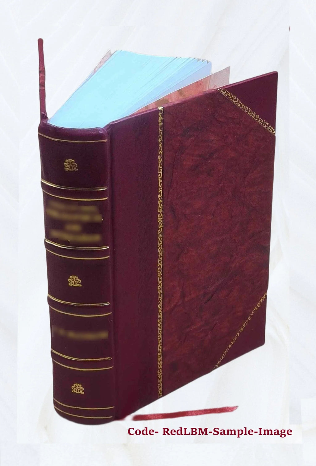 Leather Bound History of the United States C856
