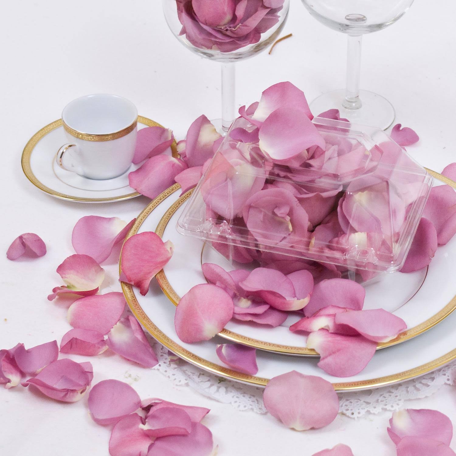 10 Pieces Wedding Collection X23363