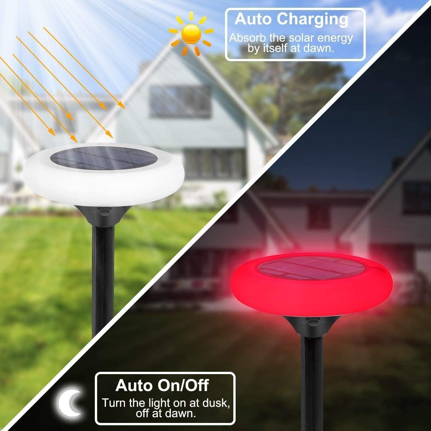 7 Color Solar Pathway Lights (4Pack) O7551