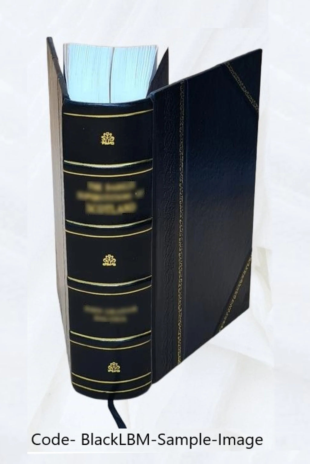 Leather Bound History of the United States C856
