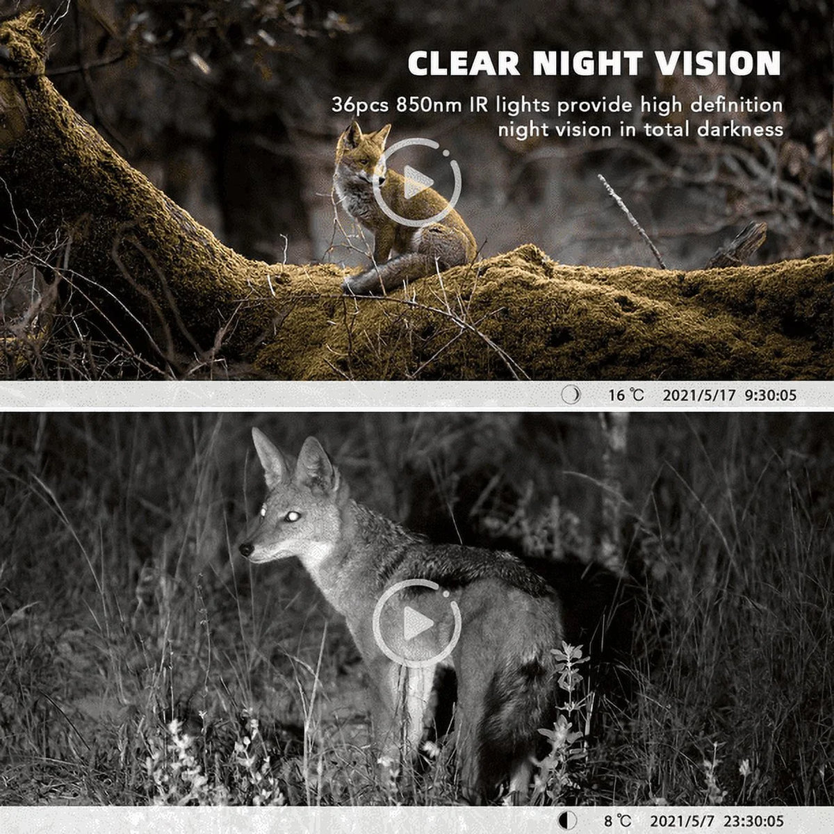 48MP 4K Trail Camera with 32GB SD Card Night Vision IP65 Waterproof F338335