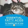 3.15 lb. Bag Dry Cat Food Y935