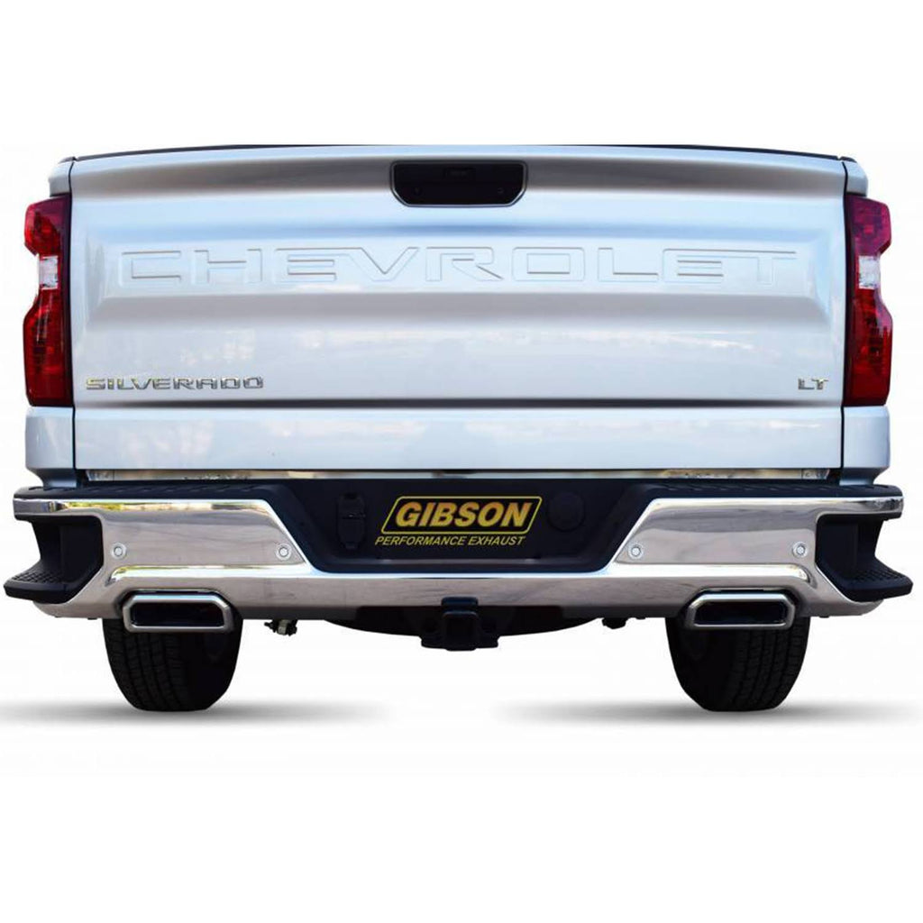 Stainless Cat-Back Dual Exhaust System H311