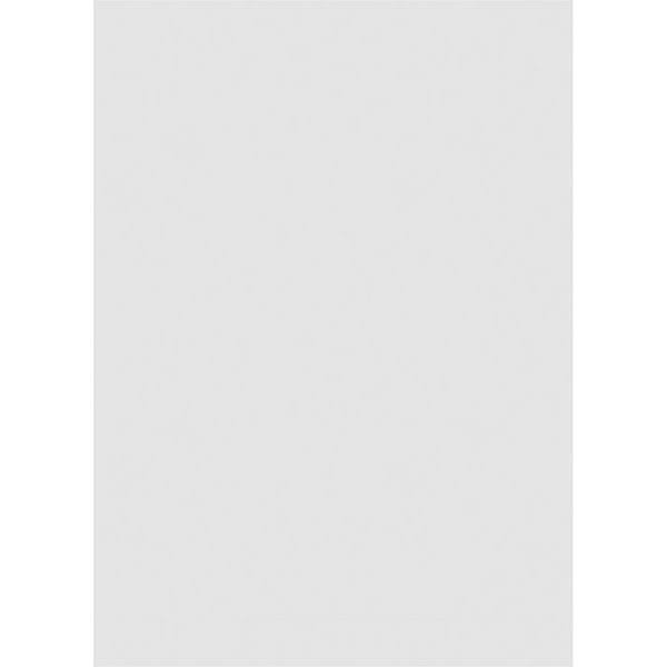 PVC Gable Vent with Brickmould E338421