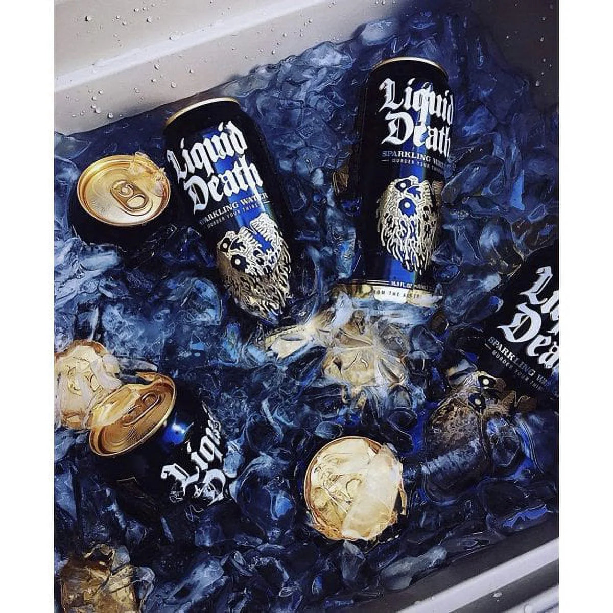 Sparkling Water, 16.9 Oz, 24 cans X132