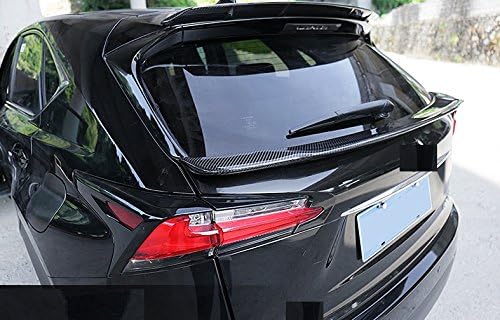 Carbon Fiber Rear Roof Spoiler J28340