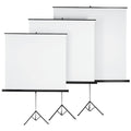 Projection Screen B272