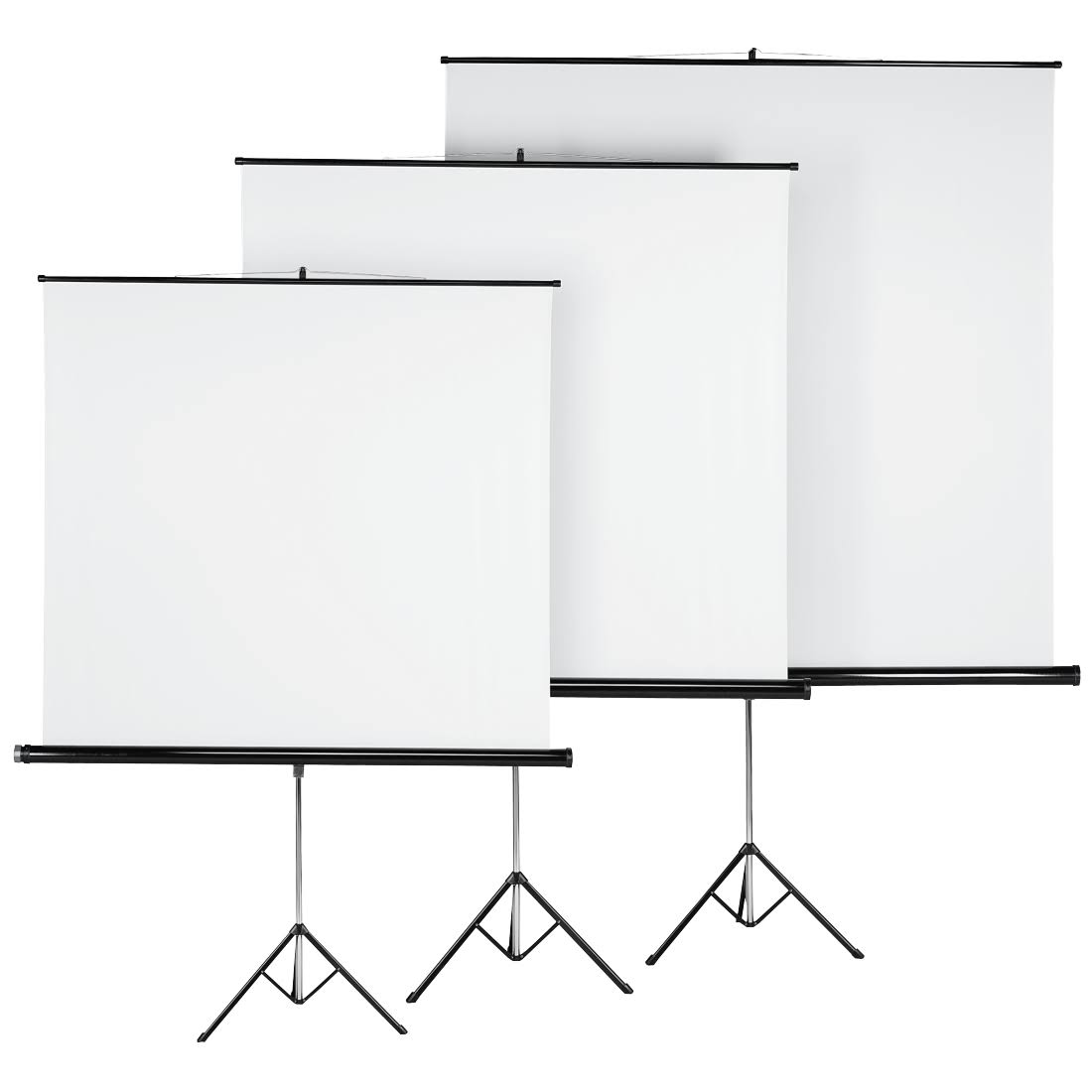 Projection Screen B272