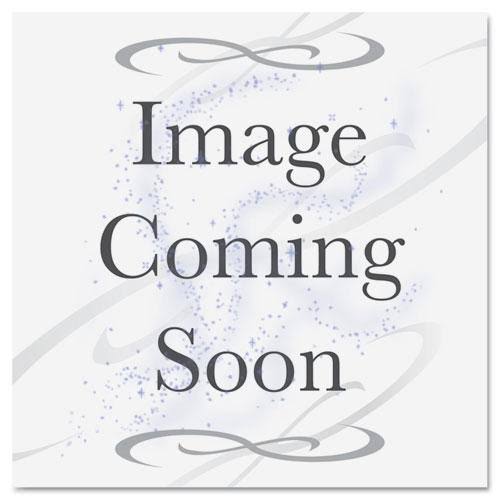 Peach 25 oz Carpet Spot Remover F442