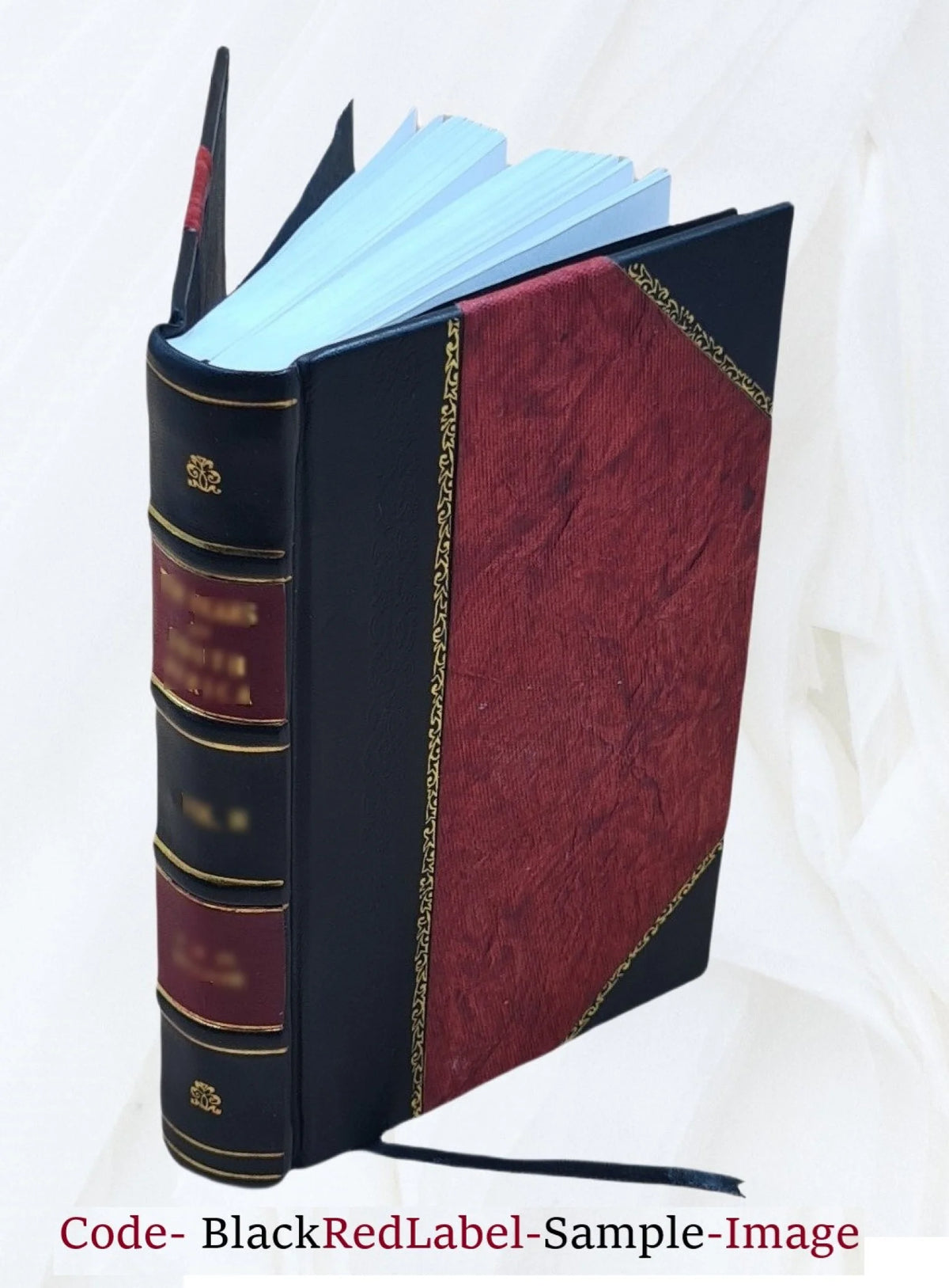 Leather Bound Book B39800
